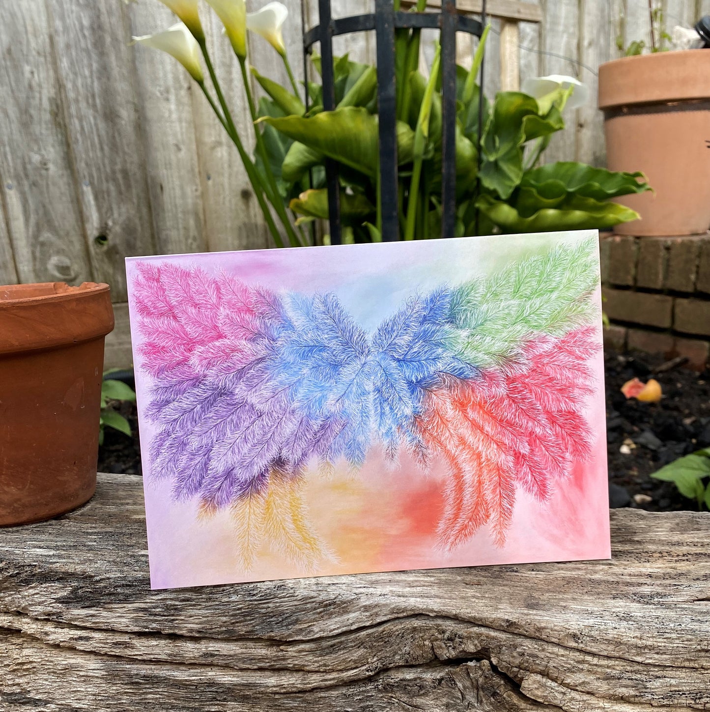 Wings of the Rainbow