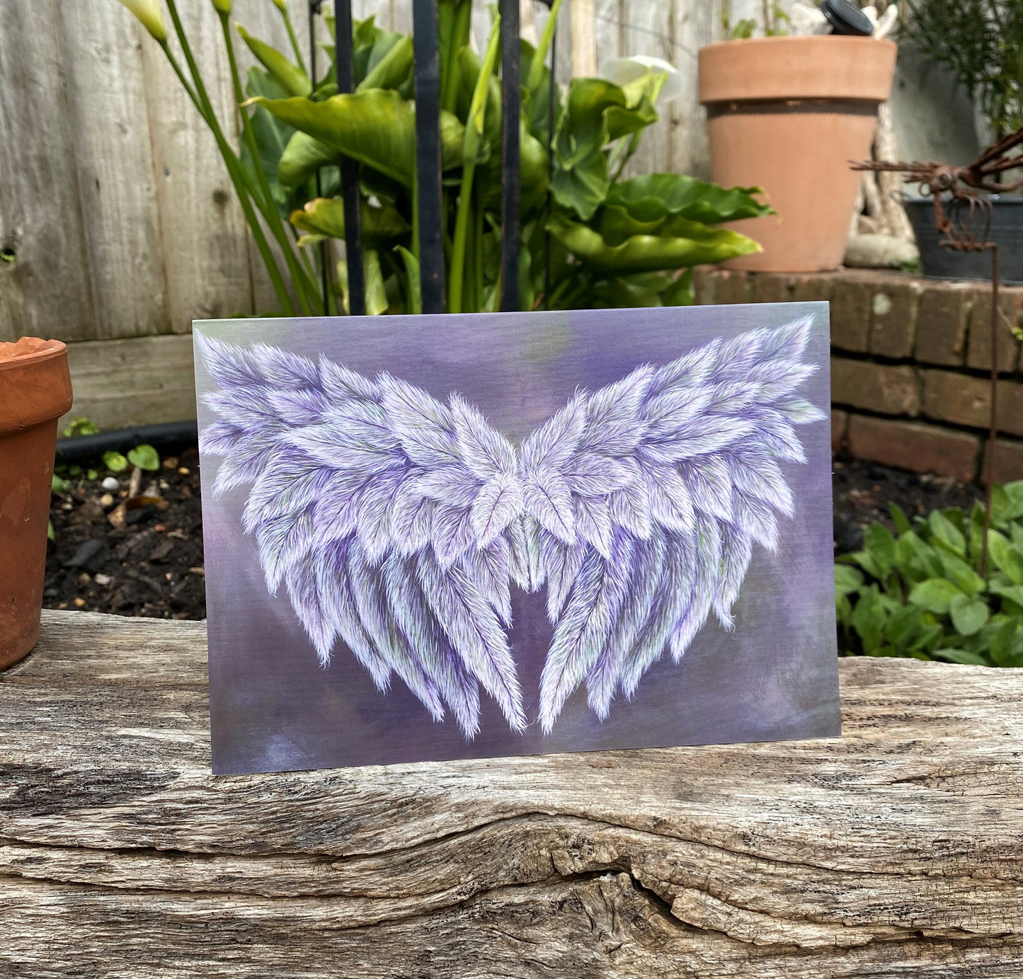 Warrior Wings