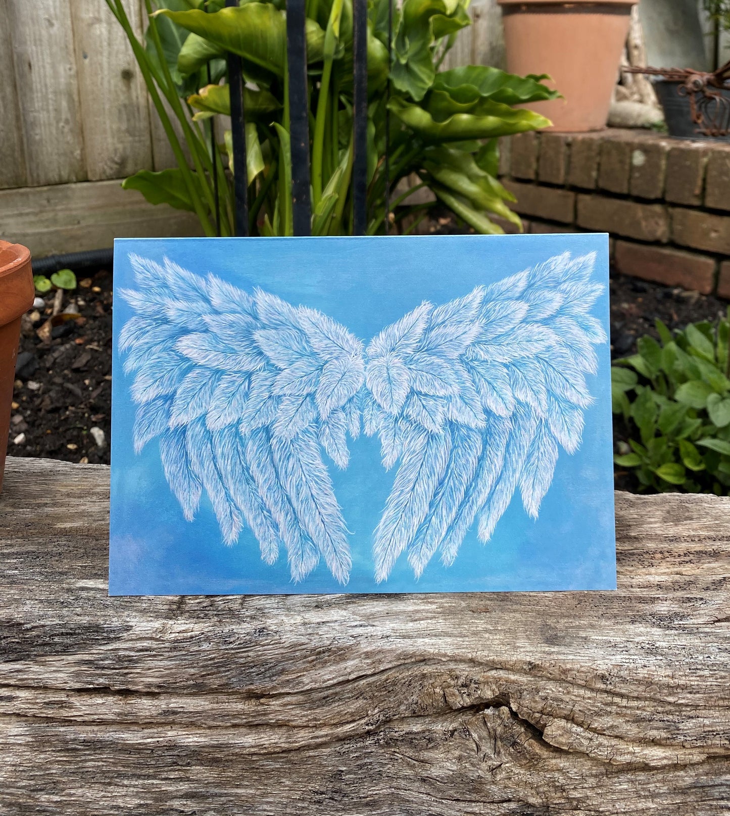 Wings of the Ocean