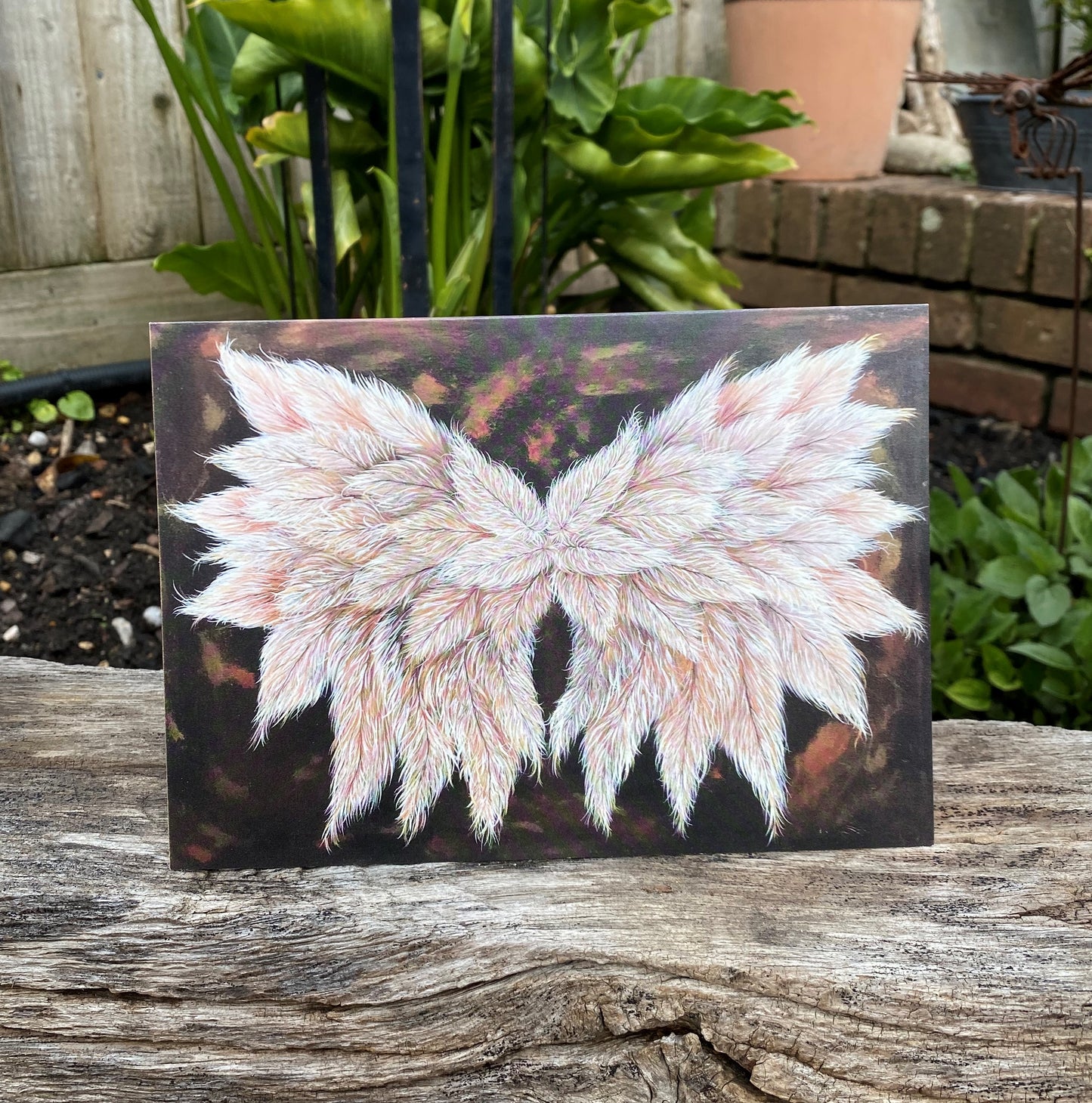 Galactic Wings – Universal Love