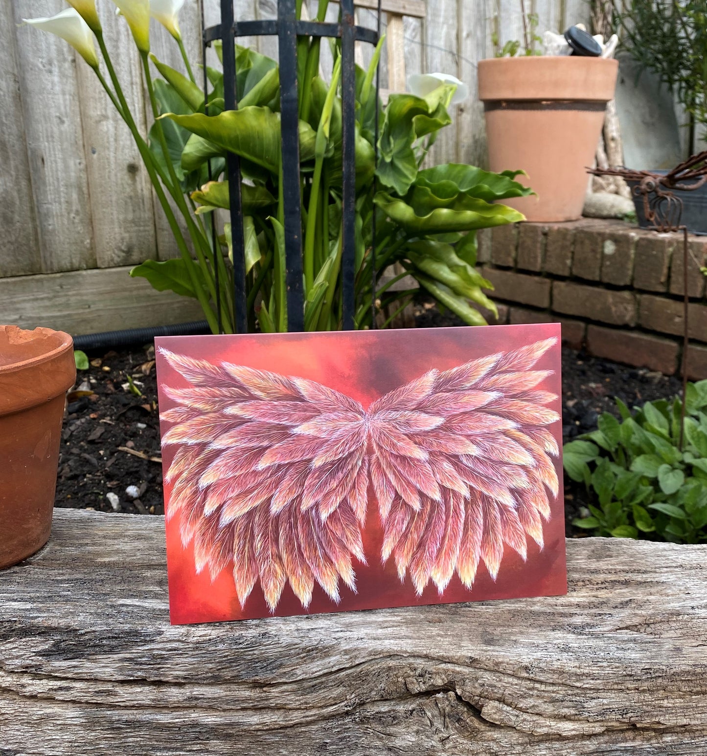 Red Indian Wings