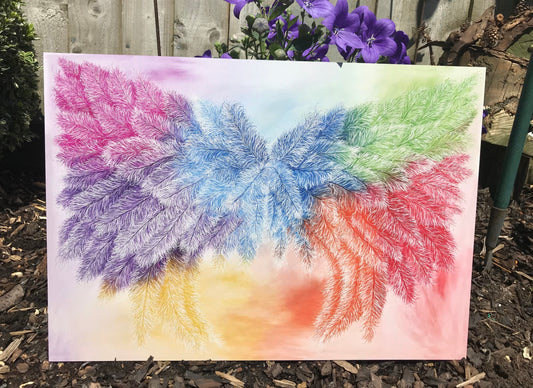 Wings of the Rainbow