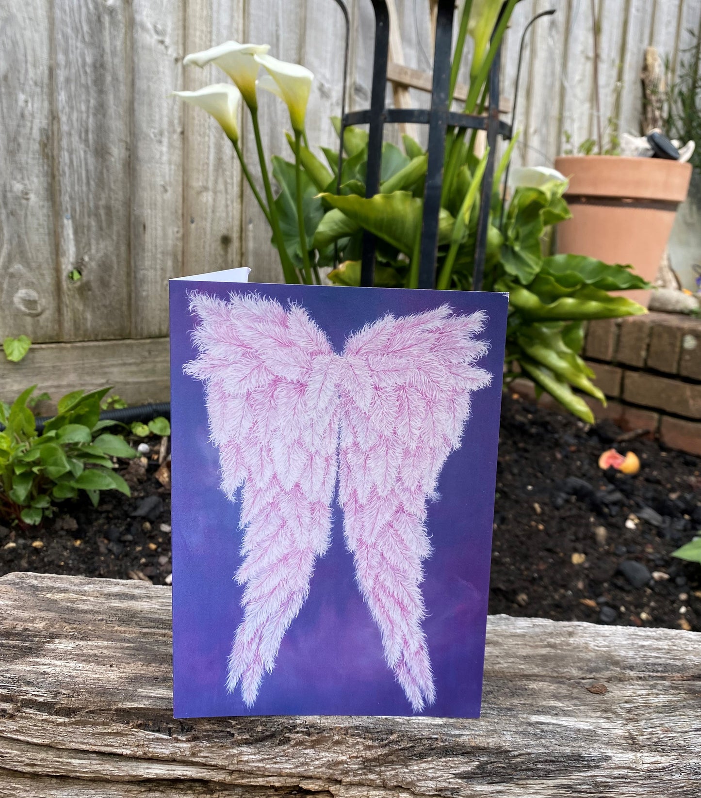 Love & Protection Wings