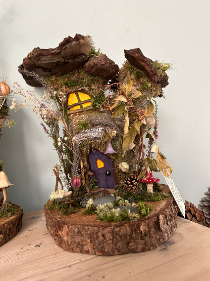Elemental House, Castle & Door Workshops